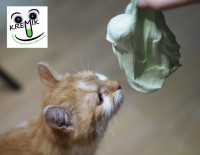 /album/noc-s-andersenom-slizolabacik/slozolabak-stredne-jpg/